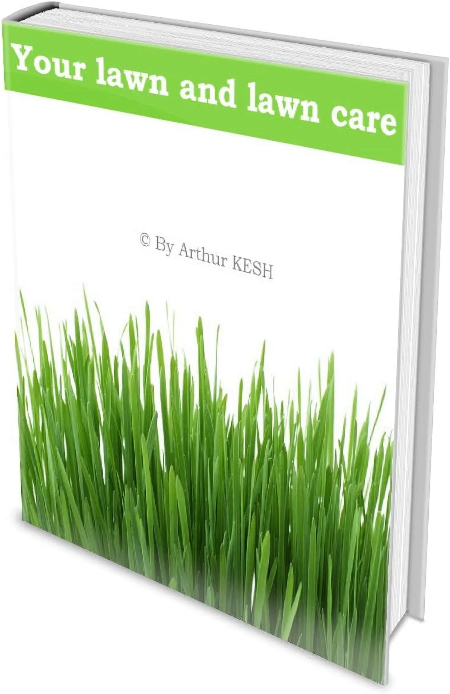 Echo E165000141 Genuine Blower Straight Pipe PB-265LN PB-650 PB-755 PB-500 &MORE + EBOOK - YOUR LAWN & LAWN CARE -