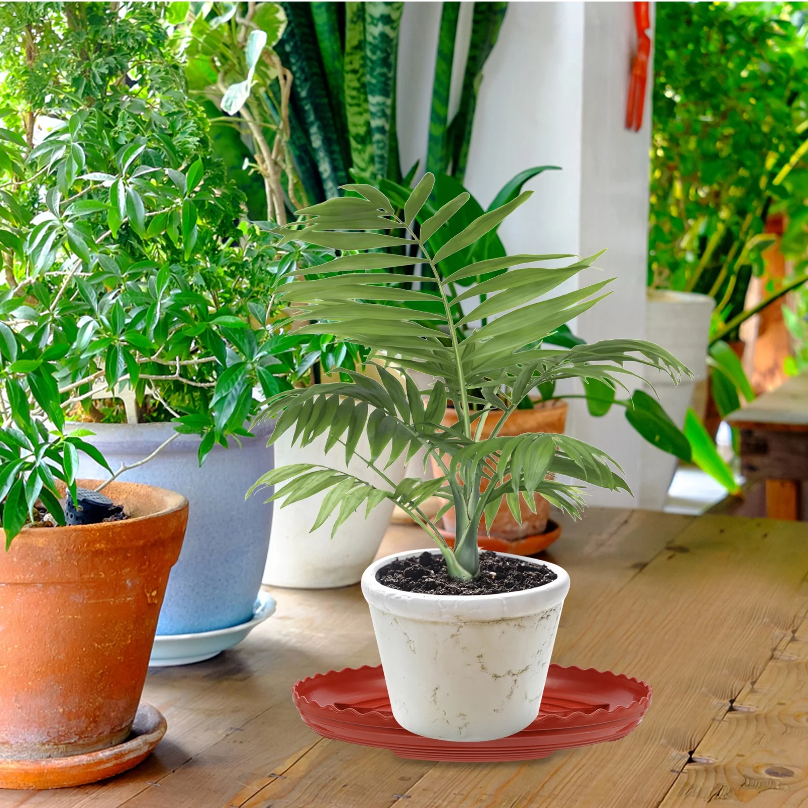 Gongxipen 20pcs Plant Saucer Plastic Plant Pot Tray Round Plant Drip Tray for Indoor Outdoor