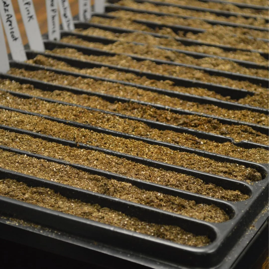 20 Row Seed Starting Tray 11