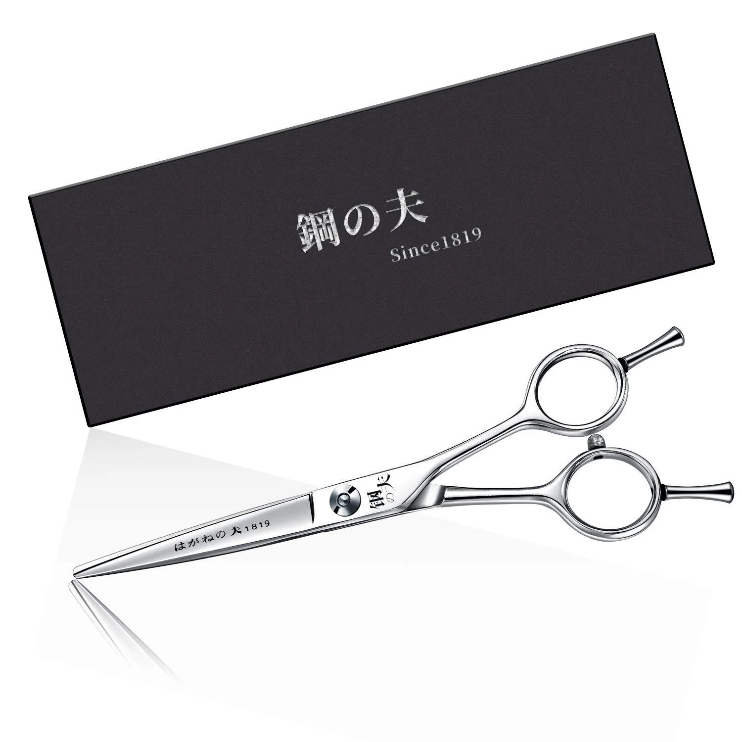 Hair Cutting Scissors Professional Barber Shears for Hair Cutting 6 Inch Razor Edge Haircut Scissors for Women Men Salon Japanese Stainless Steel with Fine Adjustment Tension Screw A-Silve