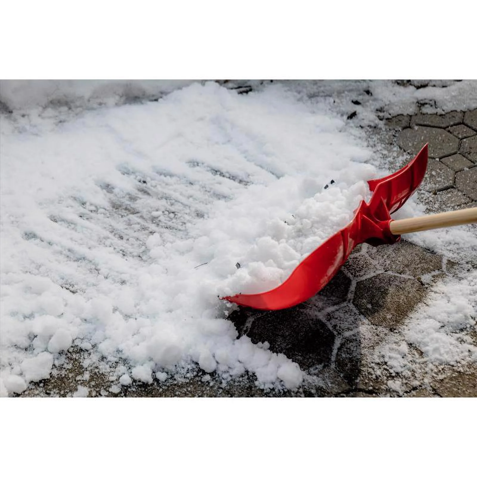 Garant 7028042 22 x 57.5 in. Poly Snow Pusher - Pack of 6