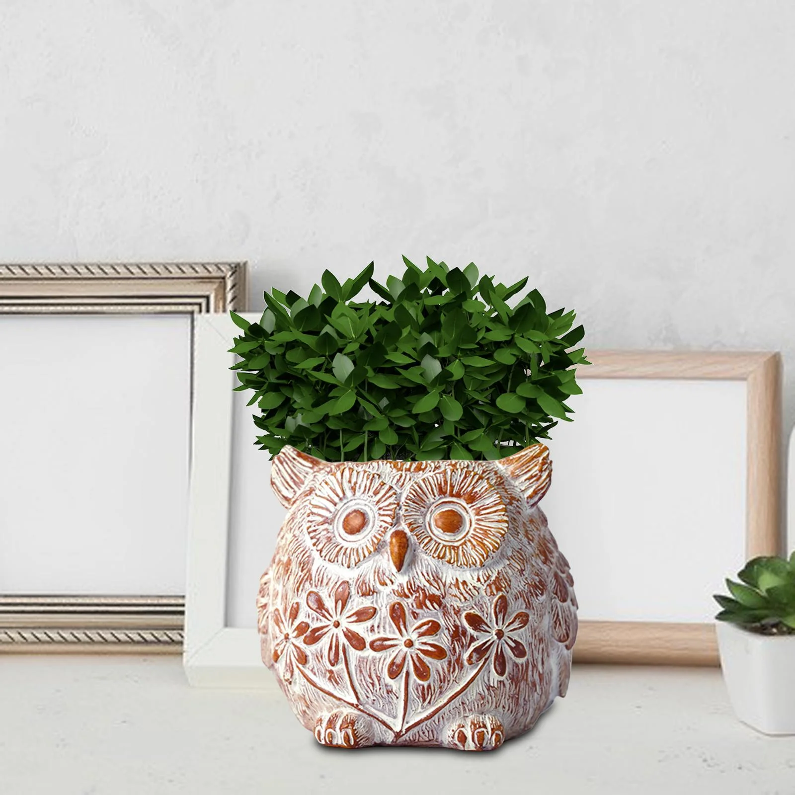 Creative Succulent Planter, Hand Painted Desktop Ornament Planters Cute Pot for Office Outdoor Indoor garden and home Decor Owl