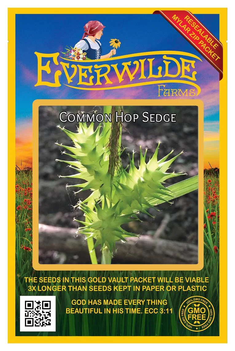 Everwilde Farms - 80 Common Hop Sedge Native Grass Seeds - Gold Vault Jumbo Bulk Seed Packet