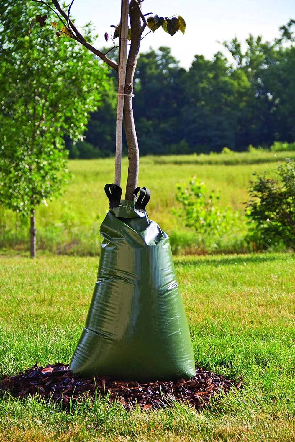 44020 Sapling Soaker , Green