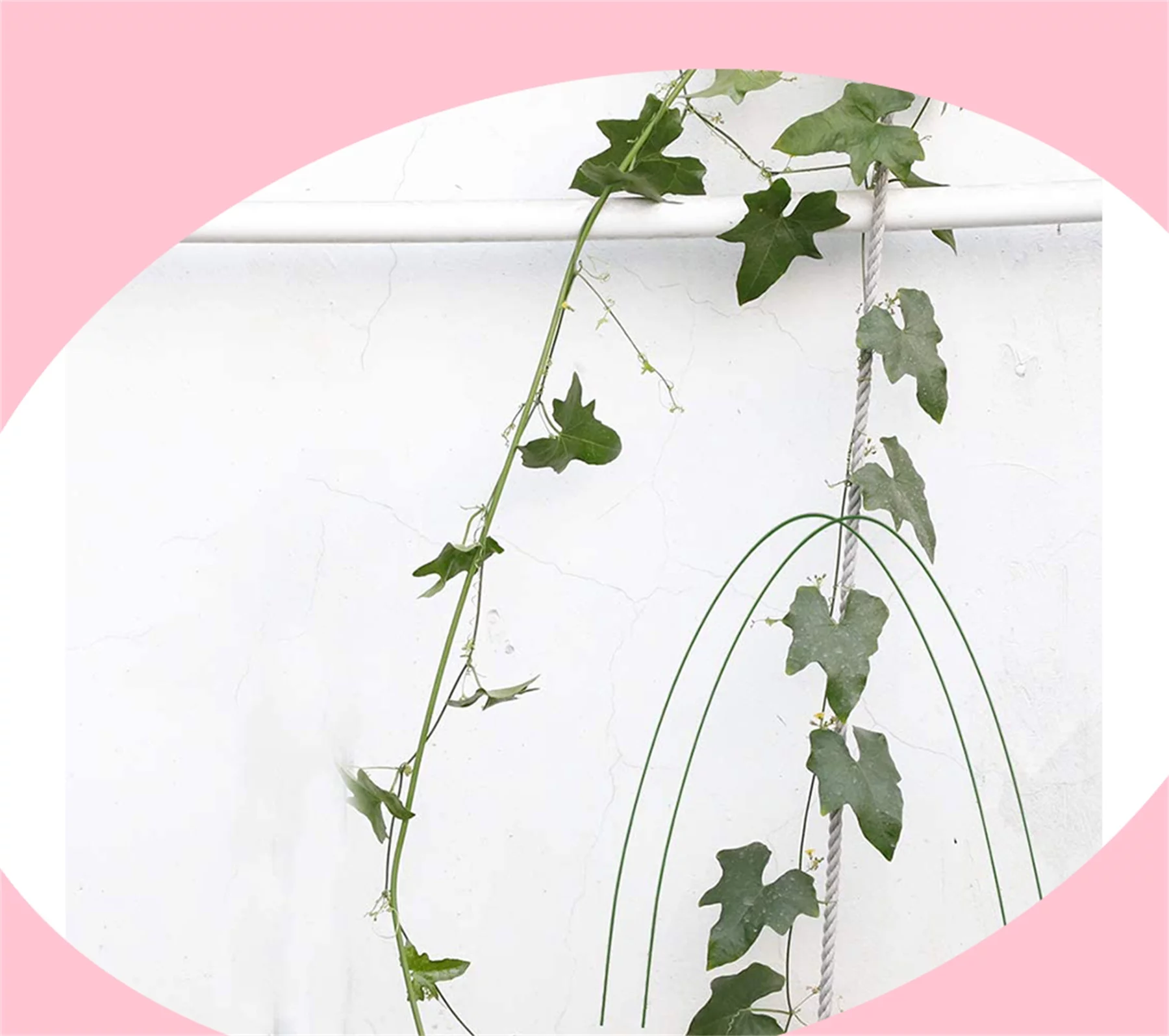 12Pack Garden Greenhouse Hoops Grow Support Tunnels