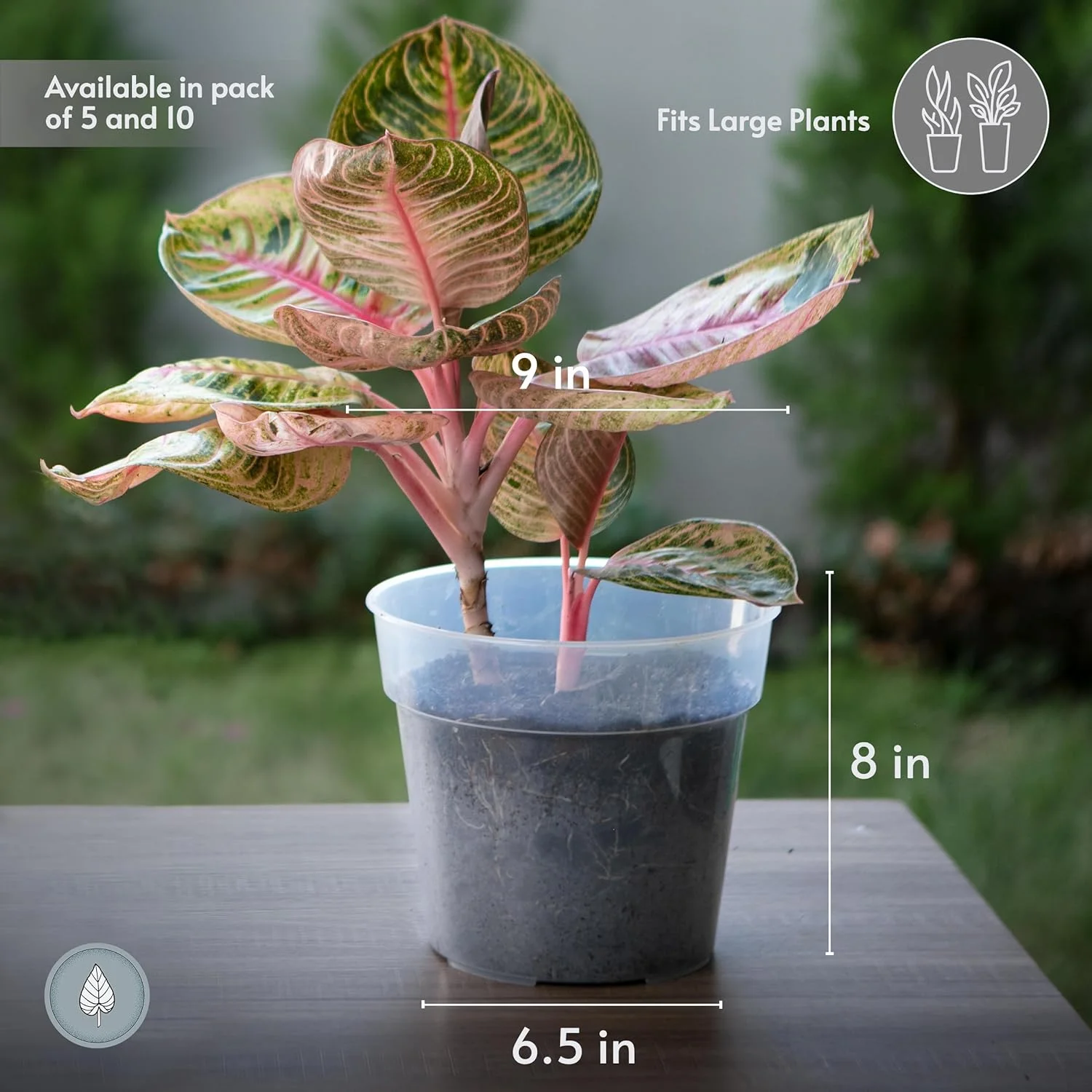 karenplantsplants™ 9