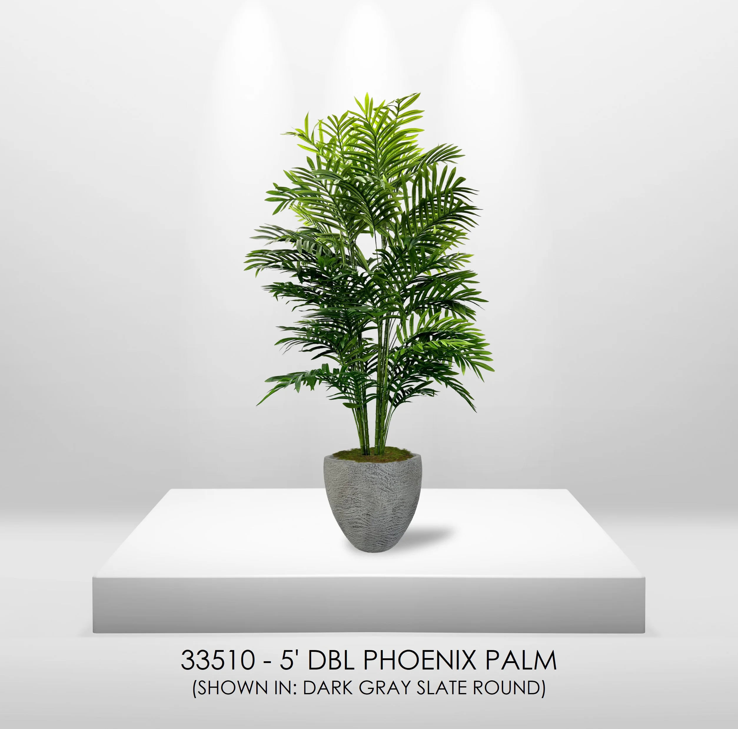Cypress & Alabaster  Realistic Artificial 5' Double Phoenix Palm In Home Basics Starter Pot, Home Dcor, Office