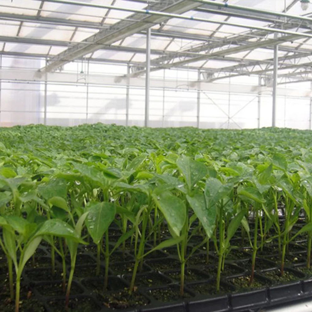 Guichaokj 10Pcs 200 Cell Starter Trays Vegetable Planting Insert Plug Trays