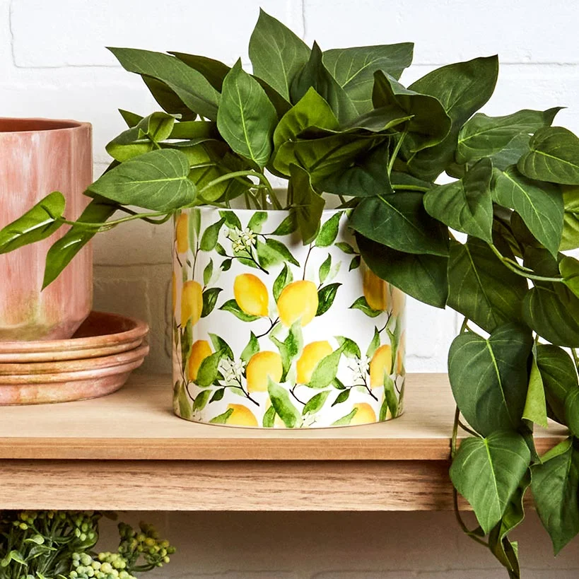 Lemon Ceramic Planter - Large