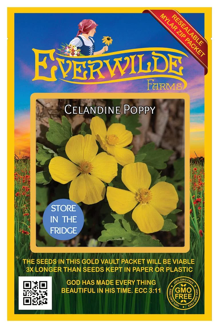 Everwilde Farms - 15 Celandine Poppy Native Wildflower Seeds - Gold Vault Jumbo Bulk Seed Packet