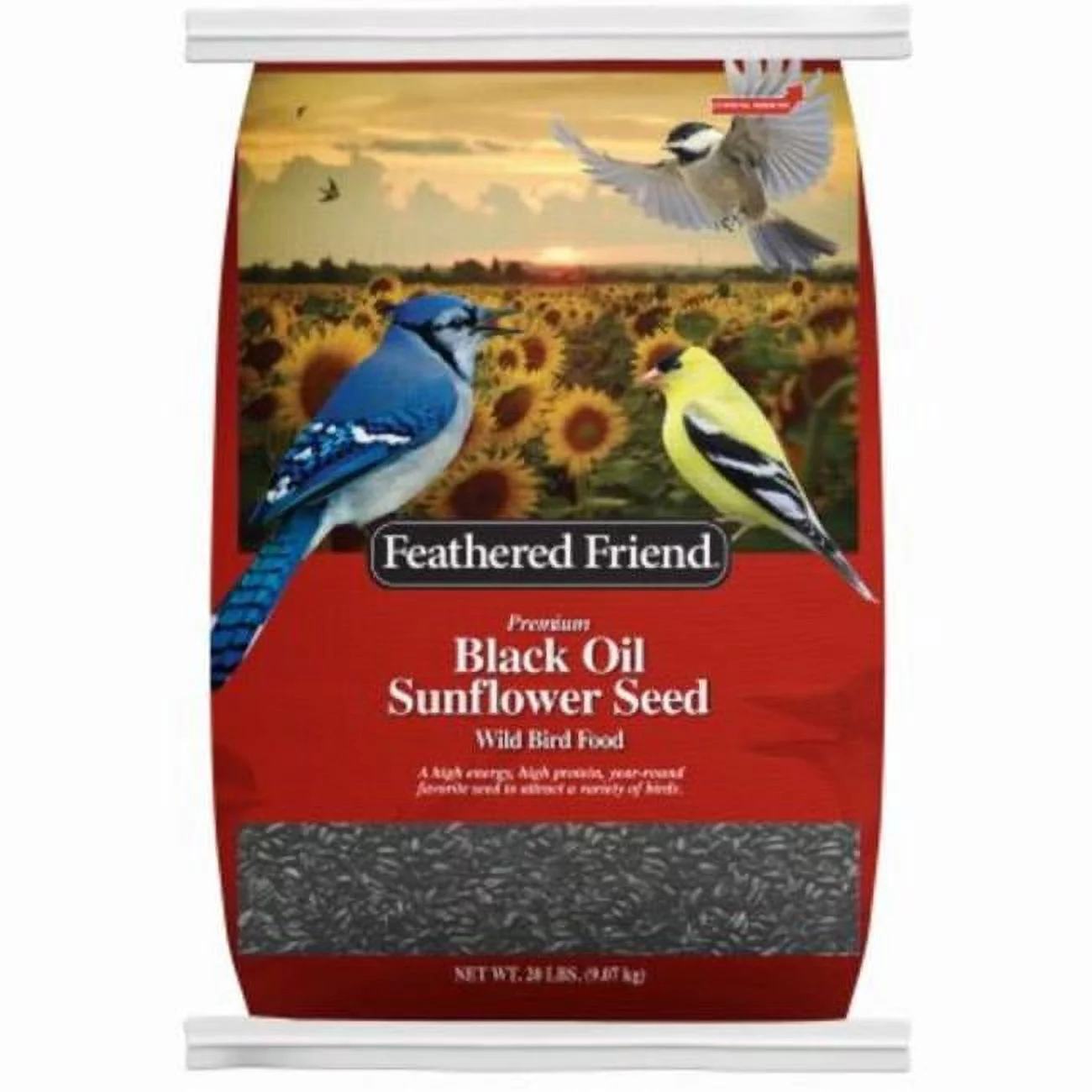 20 lbs Black Oil Sunflower Seeds