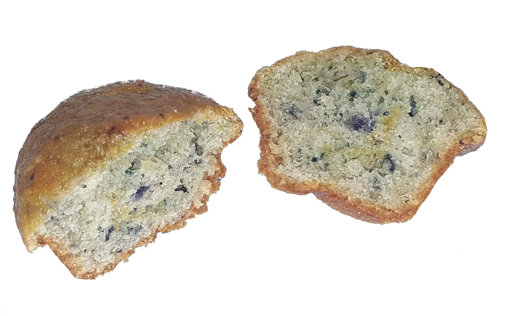 Authentic Wild Maine Blueberries Packed in Water. 3.5-ounce can - Great for Baking in Muffins and Pancakes (12 Pack)