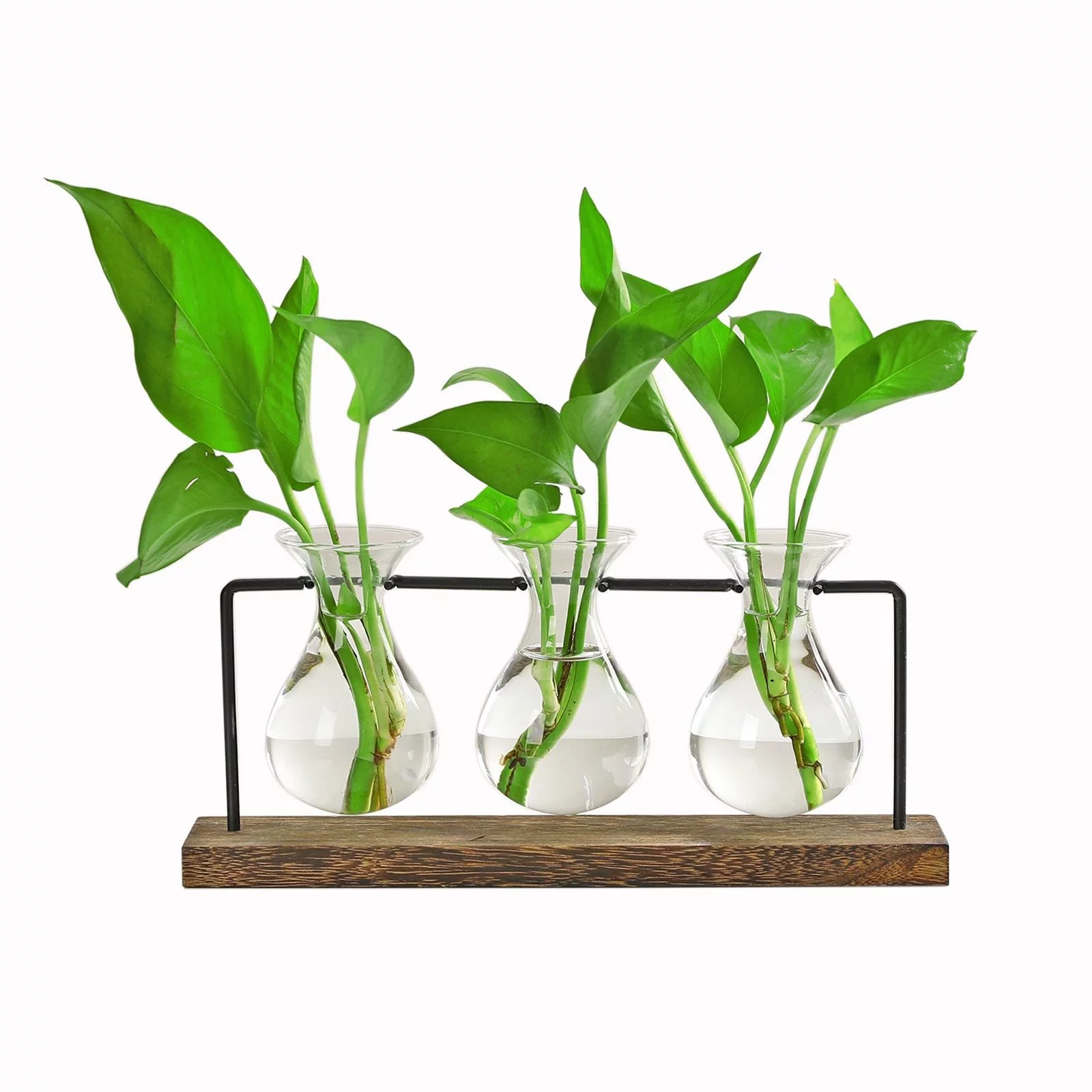 Terrarium with Wooden Stand Transparent Flower Pot Tabletop Planter Glass Small