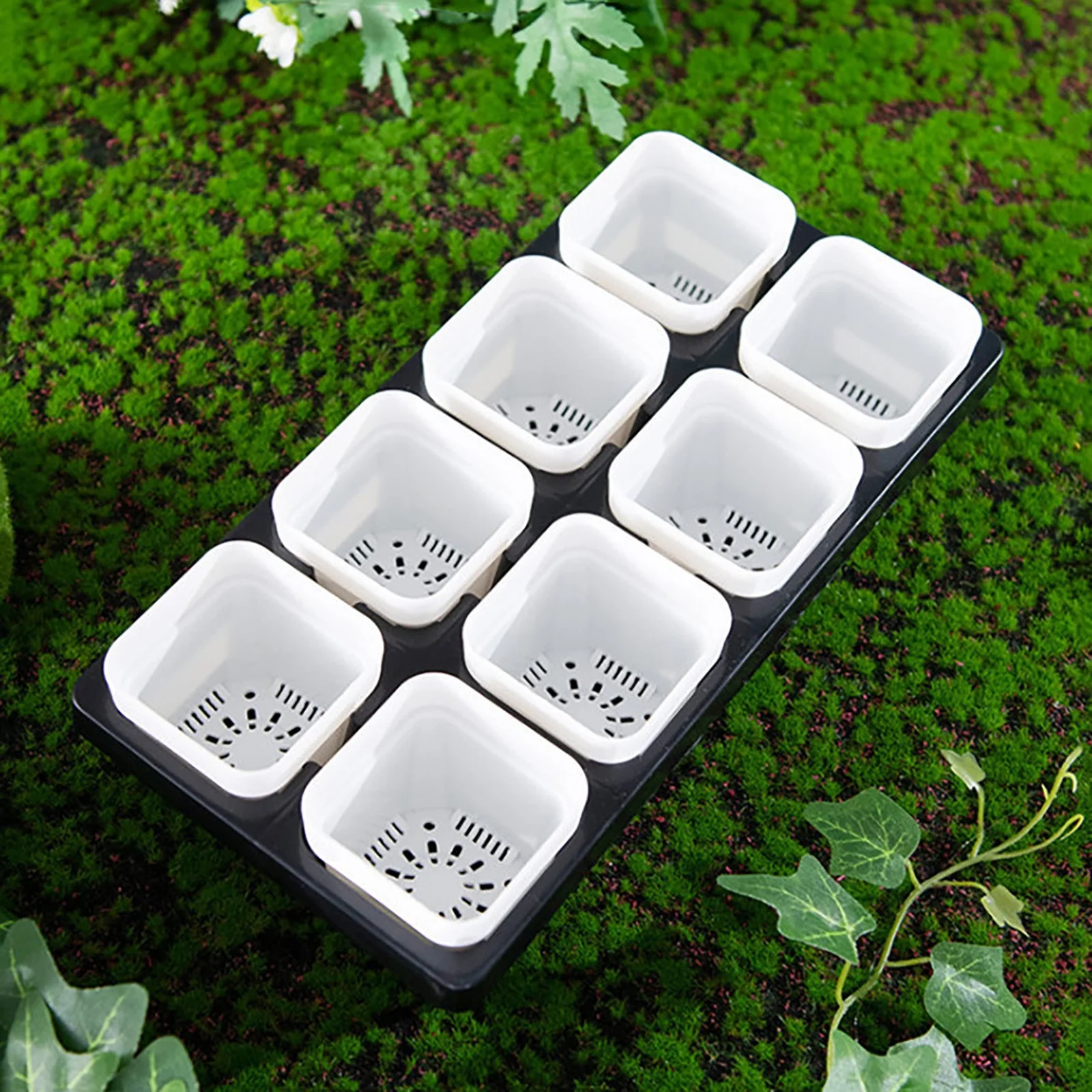 Gardening 8 Hole Bracket Water Storage Home Succulent Flower Pot Fixed Tray