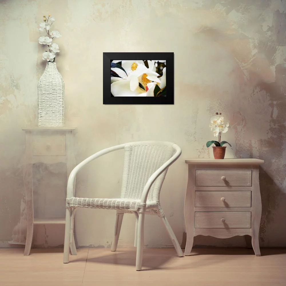 Hausenflock, Alan 14x11 Black Modern Framed Museum Art Print Titled - Southern Magnolia II