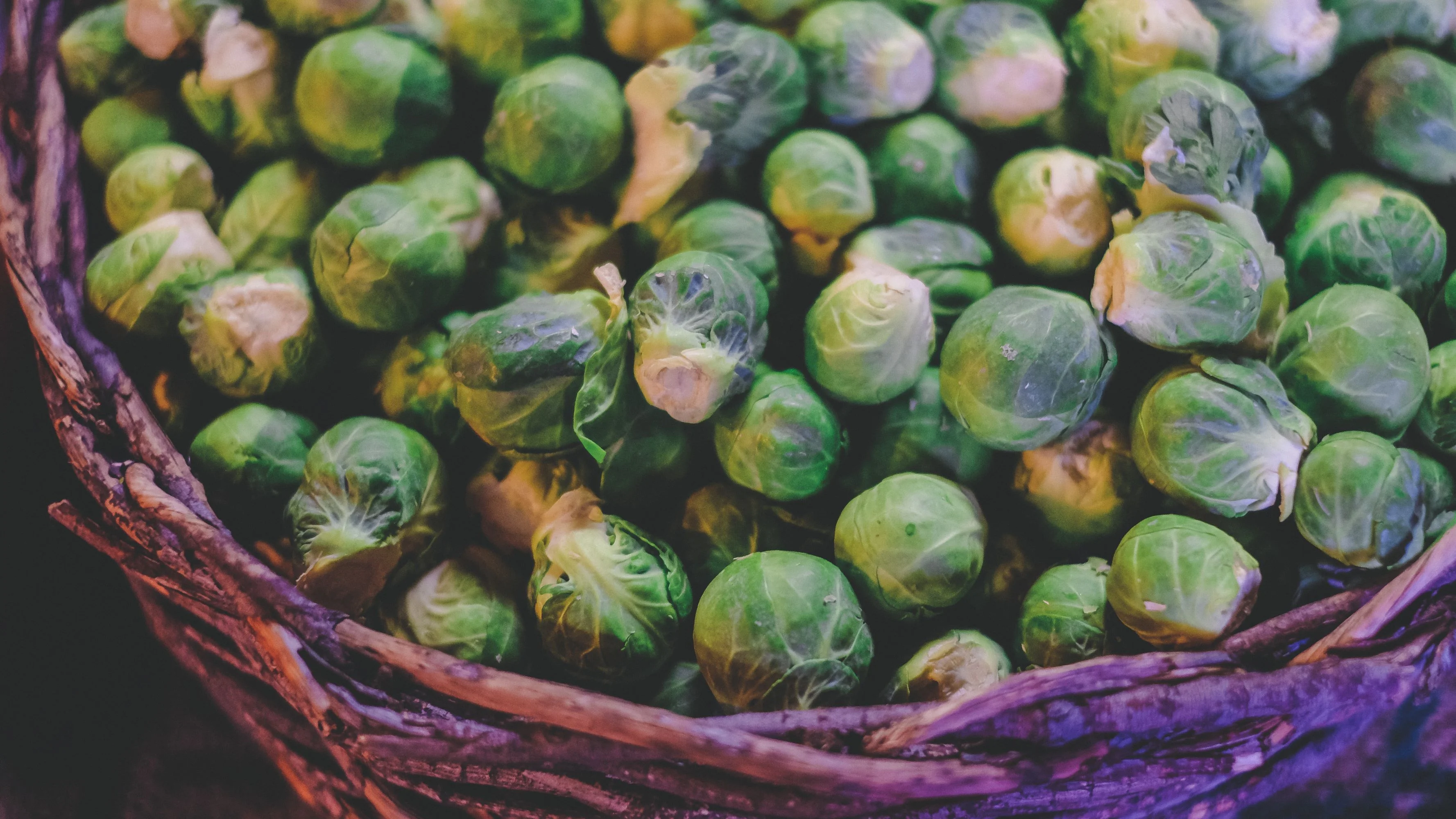 Long Island Improved Brussel Sprouts/Biennial/Full Sun/128K Seeds 1lb/ Zellajake Farm and Garden - B131