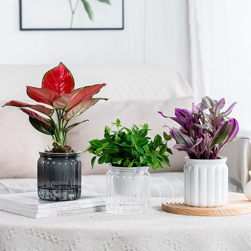 Self Watering Flowerpot Plastic Hydrotonics Plant Pot Double Layer Cotton Rope Automatic Watering Flower Vase Succulent Planter