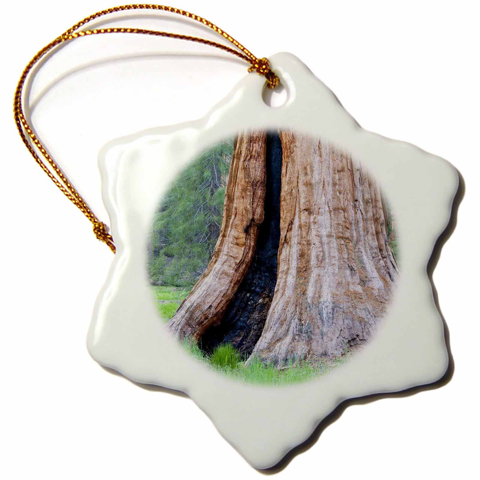 3dRose Giant Sequoias Multi-color Porcelain Holiday Decorative Accent Snowflake Ornament, 3