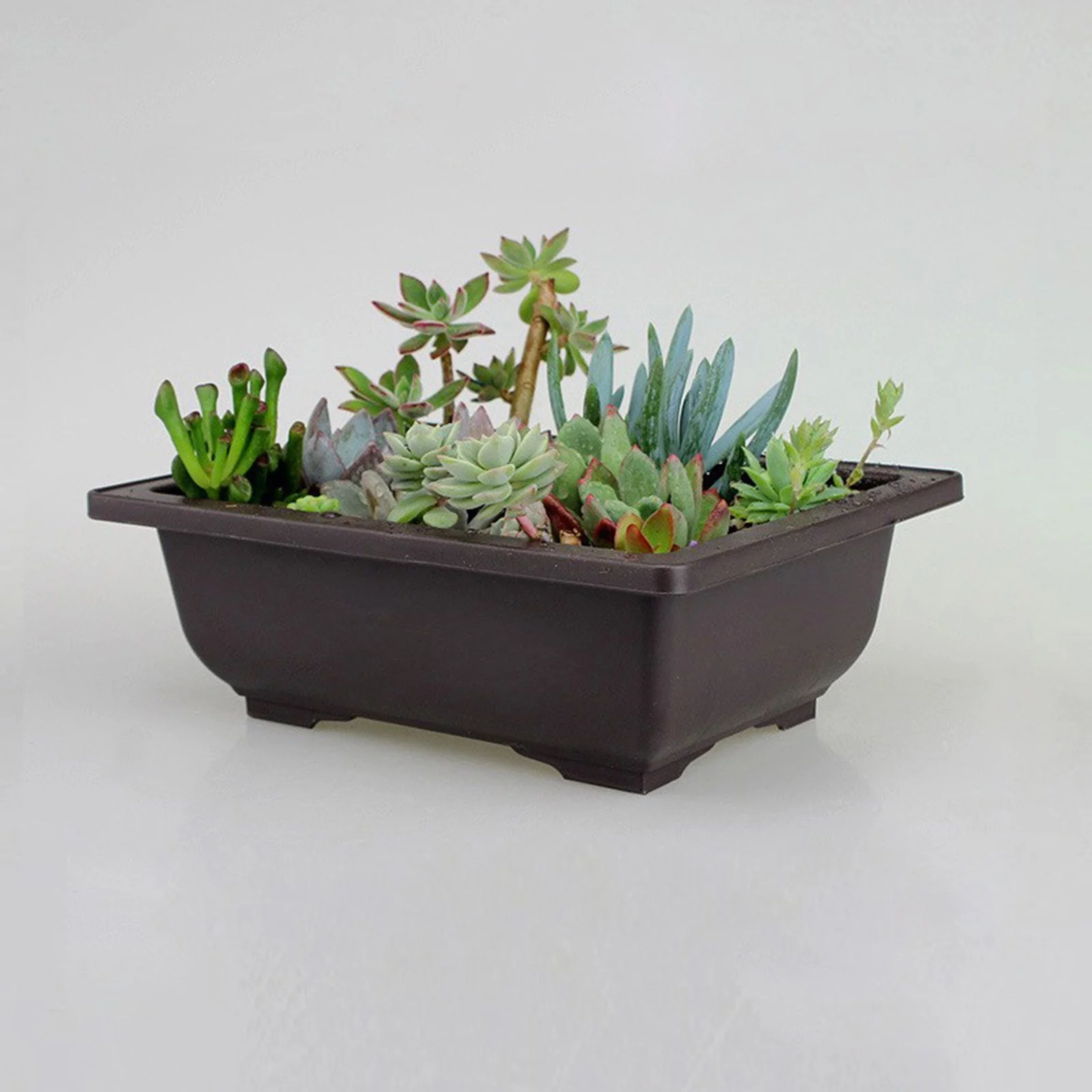 Imitation Purple Sand Dark Brown Plastic Antique Flower Pot Suitable For Succulent Small Potted Small Bonsai