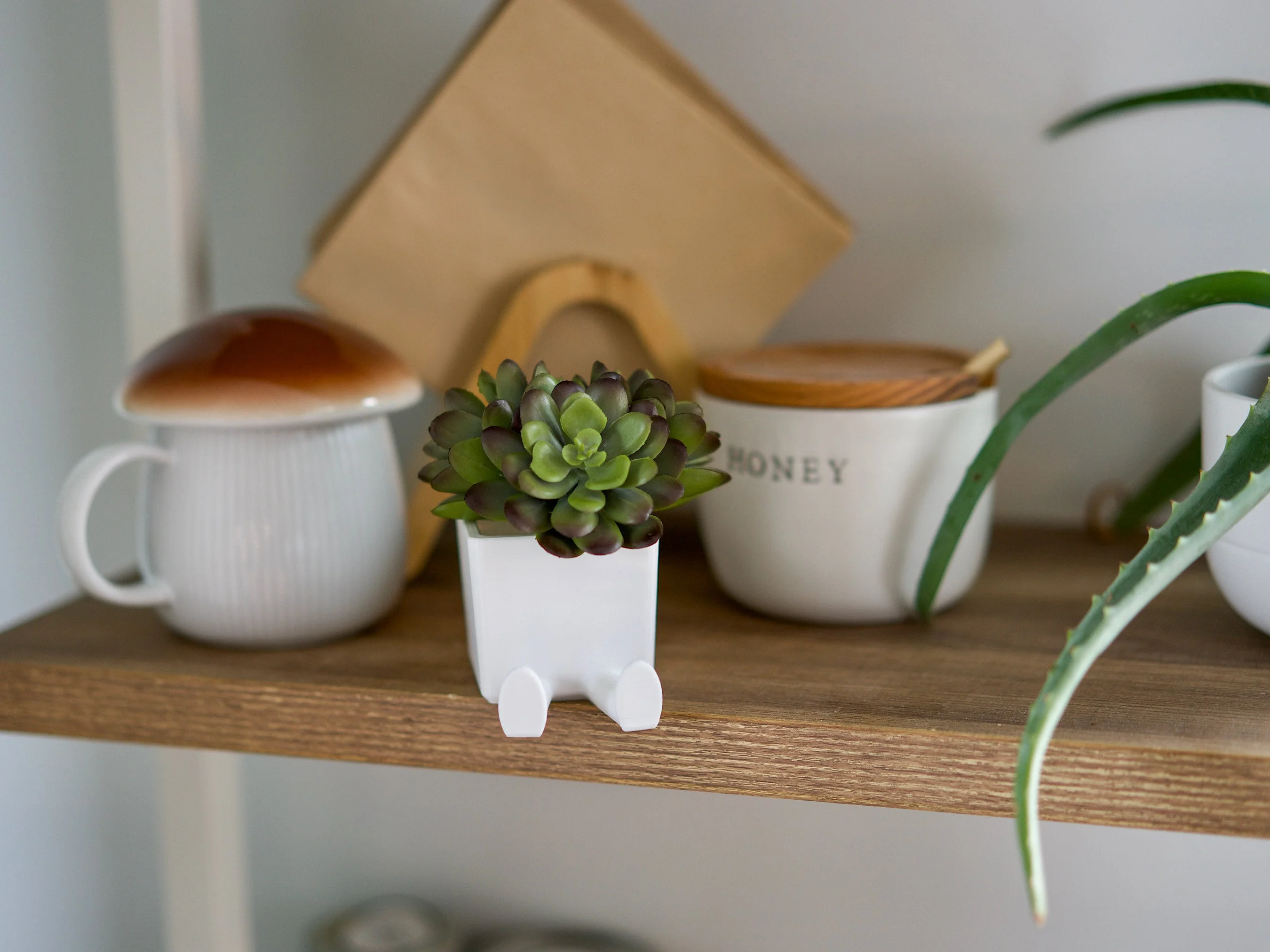 LEGGI Sitting the Succulent & Cactus Planter Pot