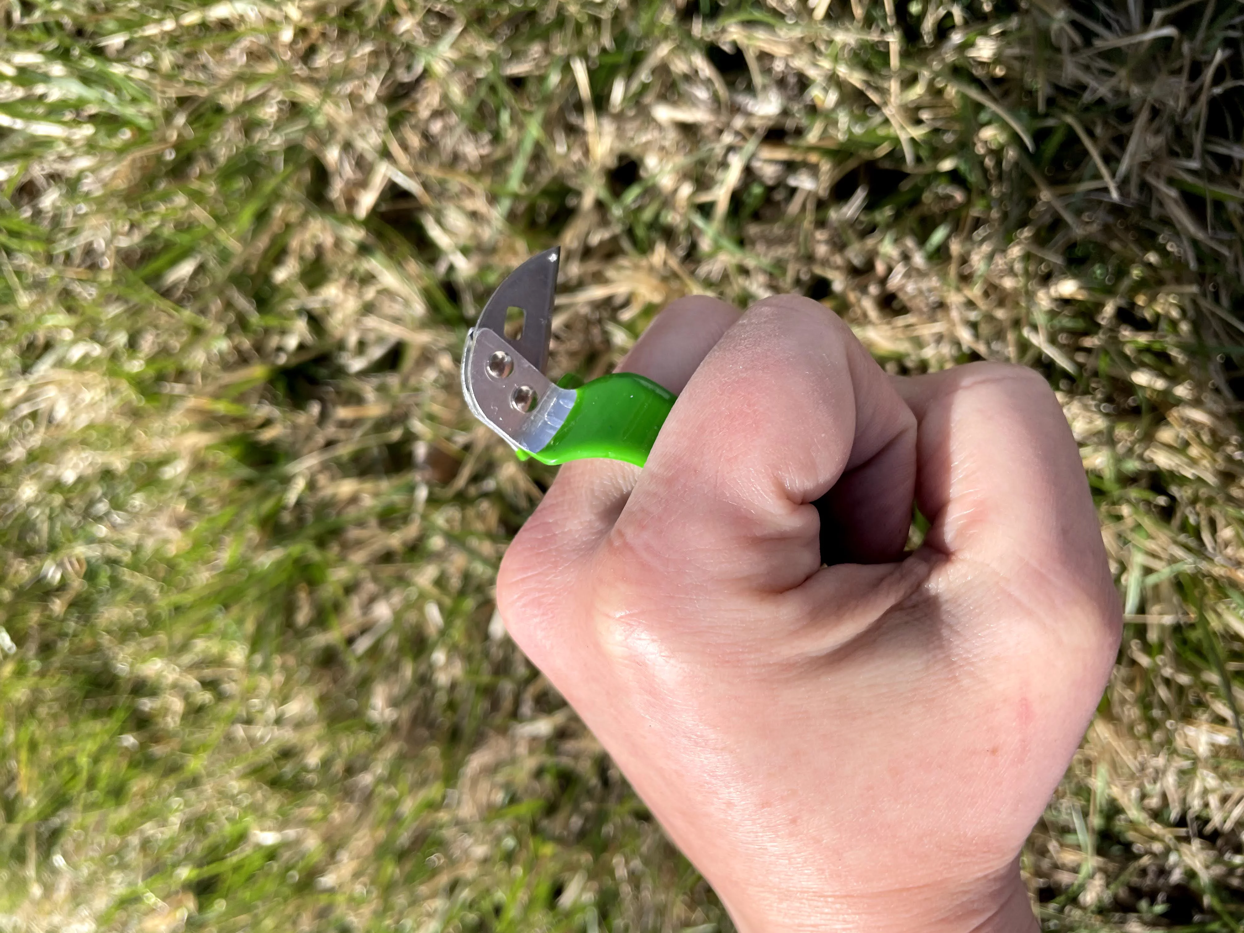 Razors Edge Handy Knife - 12-Pack - Utility Blade Ring Knife for Finger - Ring Size 13 -Lime - by Handy Twine Knife