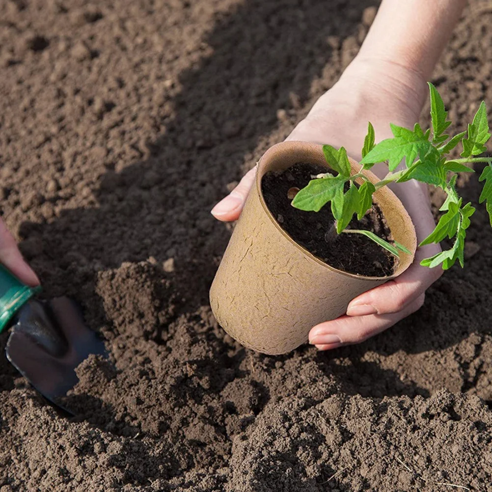 100 Pcs Germination Growing Pots Seed Degradable Suite Plant Fiber (Pulp)