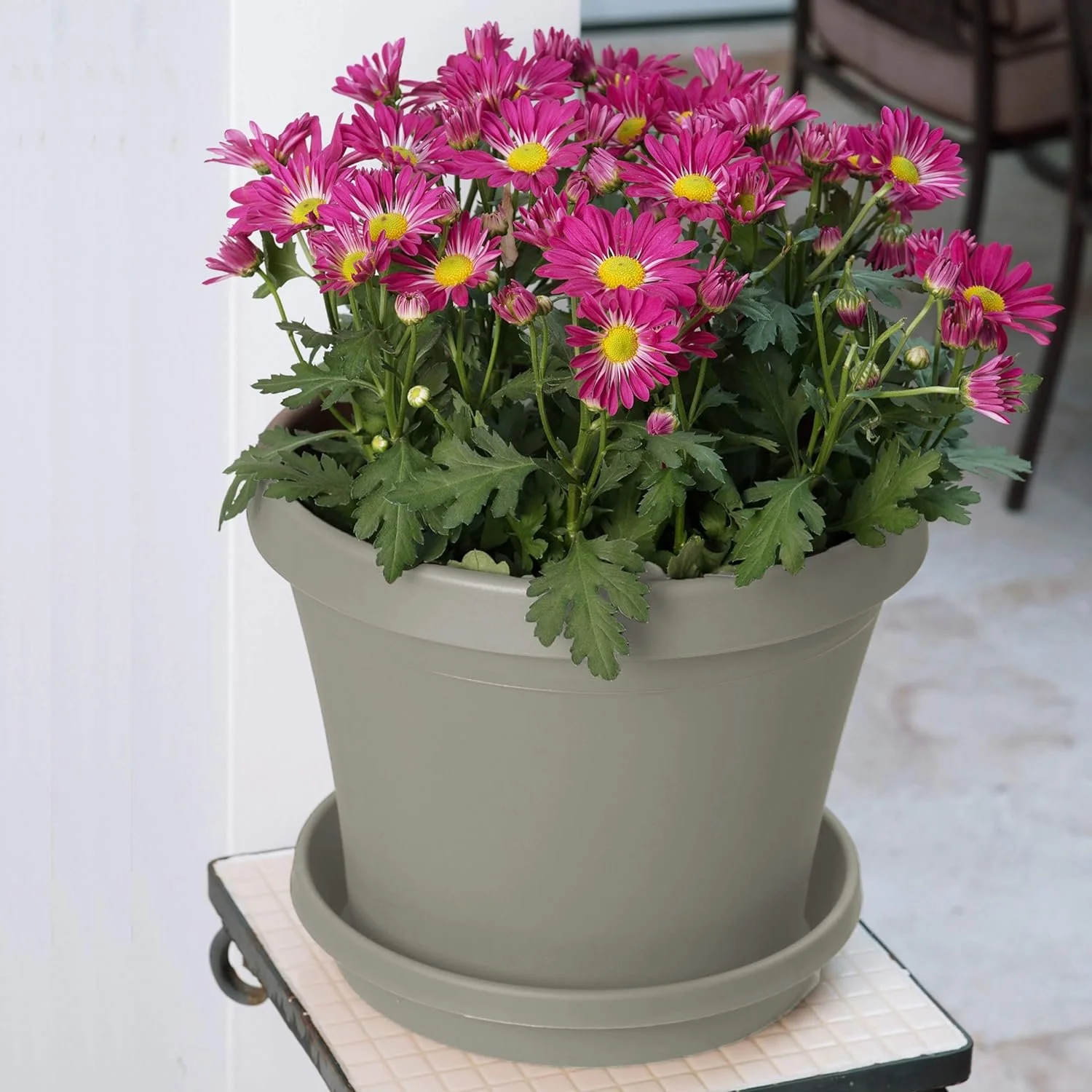 Bloem TR0883 Terra Plastic Pot Planter 8
