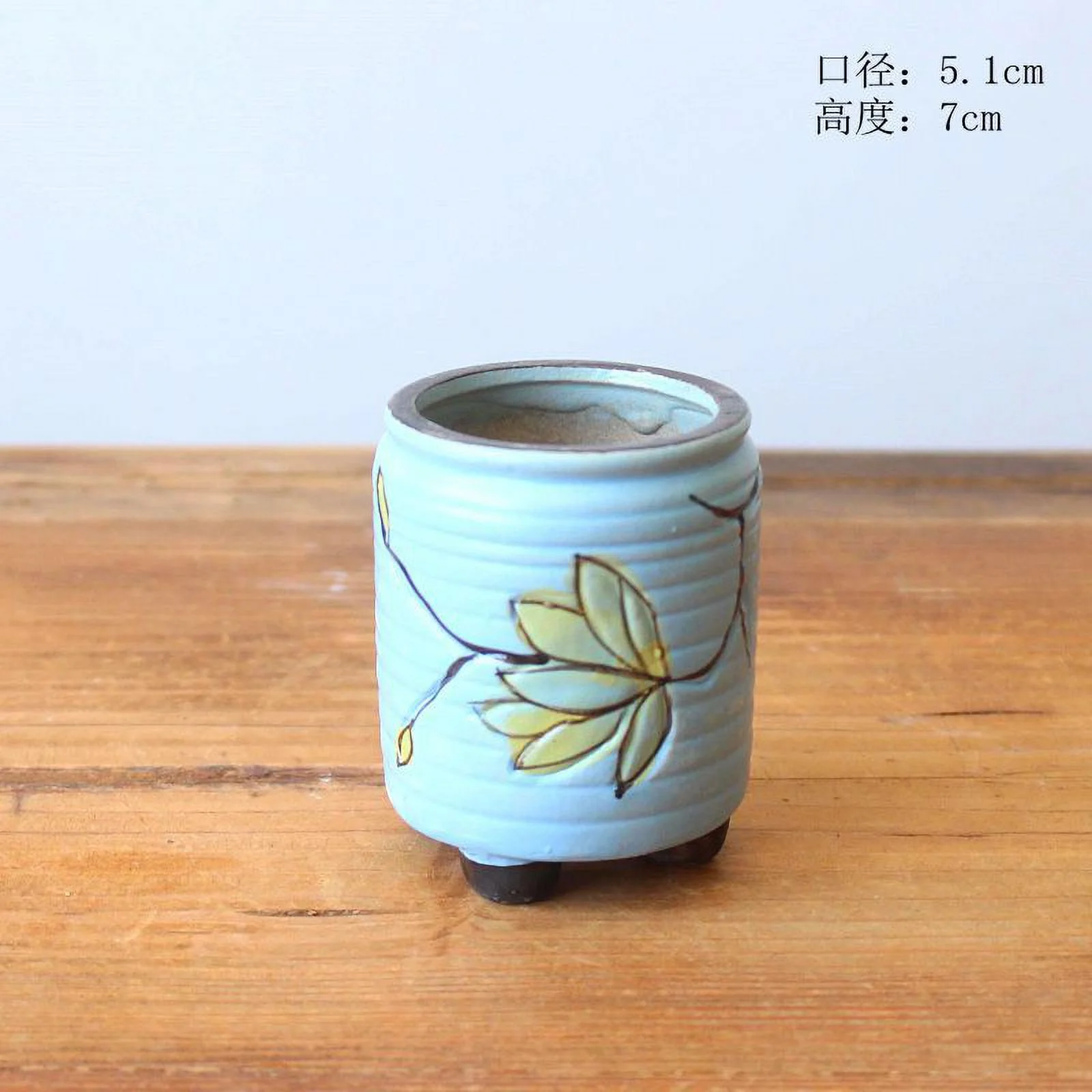 Hand-painted Succulent Planter - Mother and Child Pot - Tabletop Planting