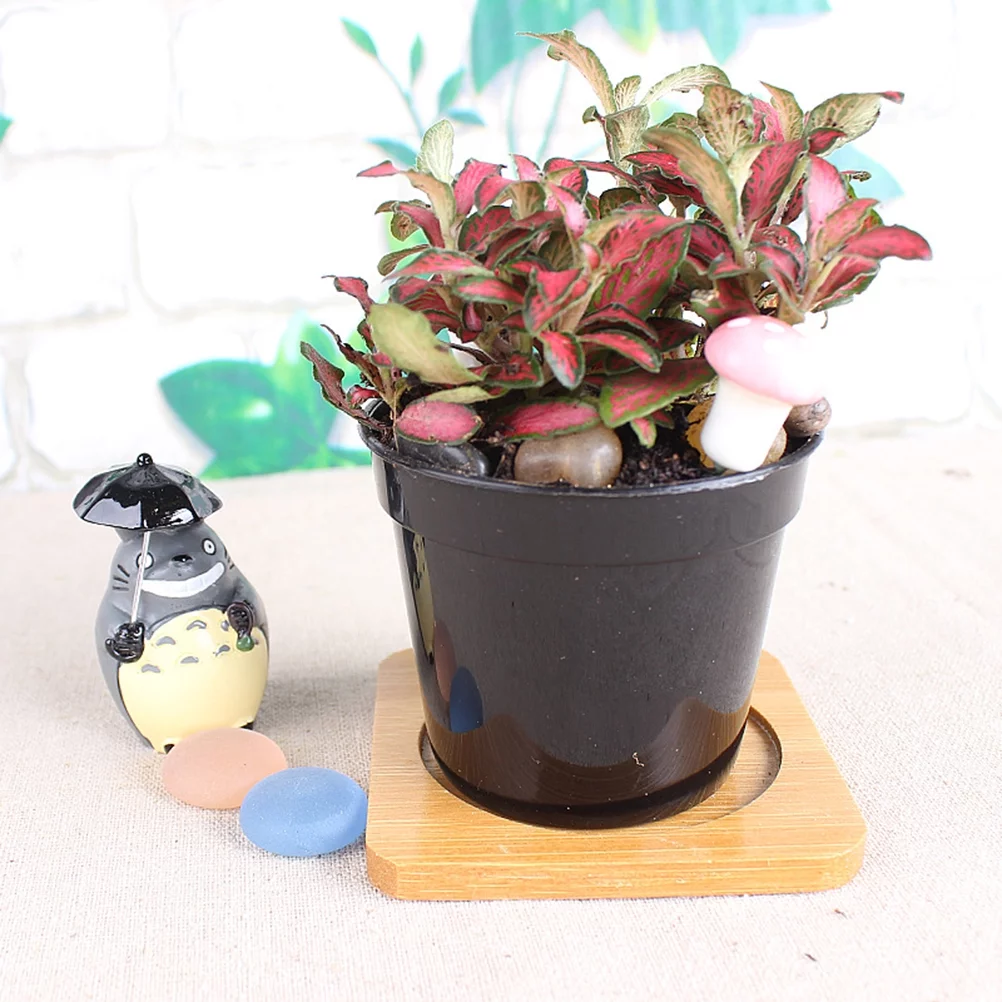 Gongxipen 5PCS Black Plastic Succulent Pot Thickening Basin Succulent Bulb Deepen Scrub Flower Round Pot Garden Accessories