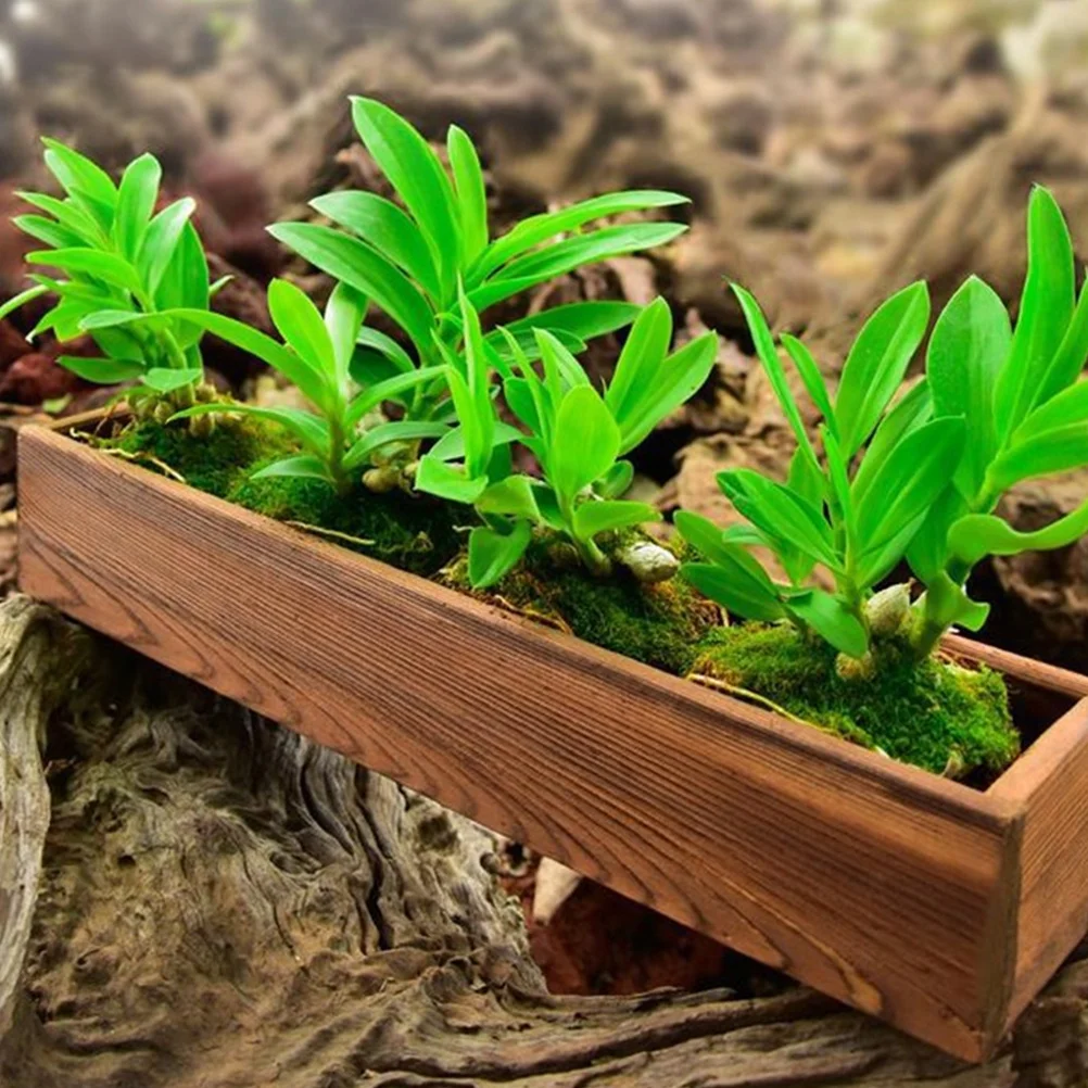 Antiseptic Wood Flower Box Decorative Pots Outdoor Garden Indoor Wooden