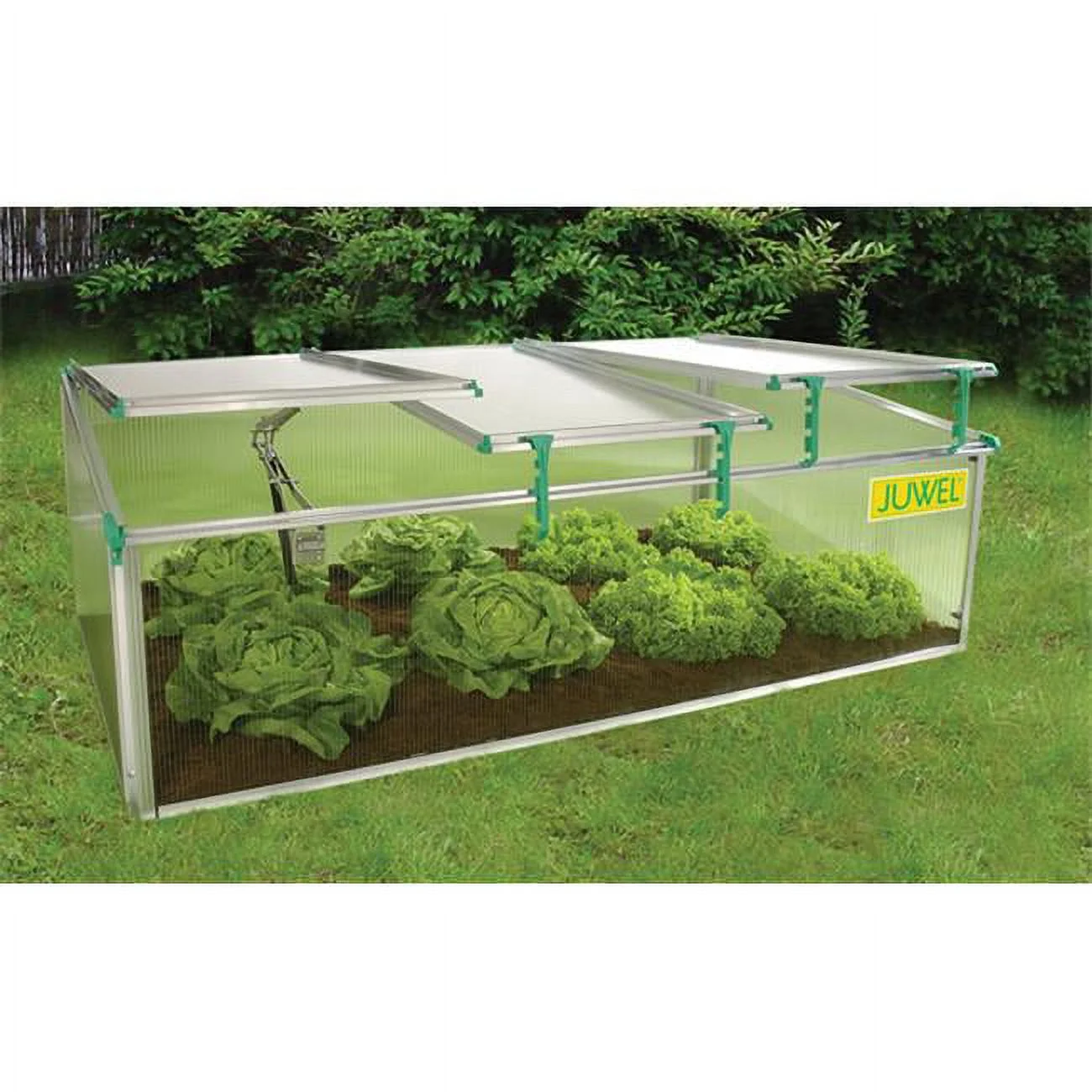 Trading Juwel BioStar - 1500 Premium Cold Frame