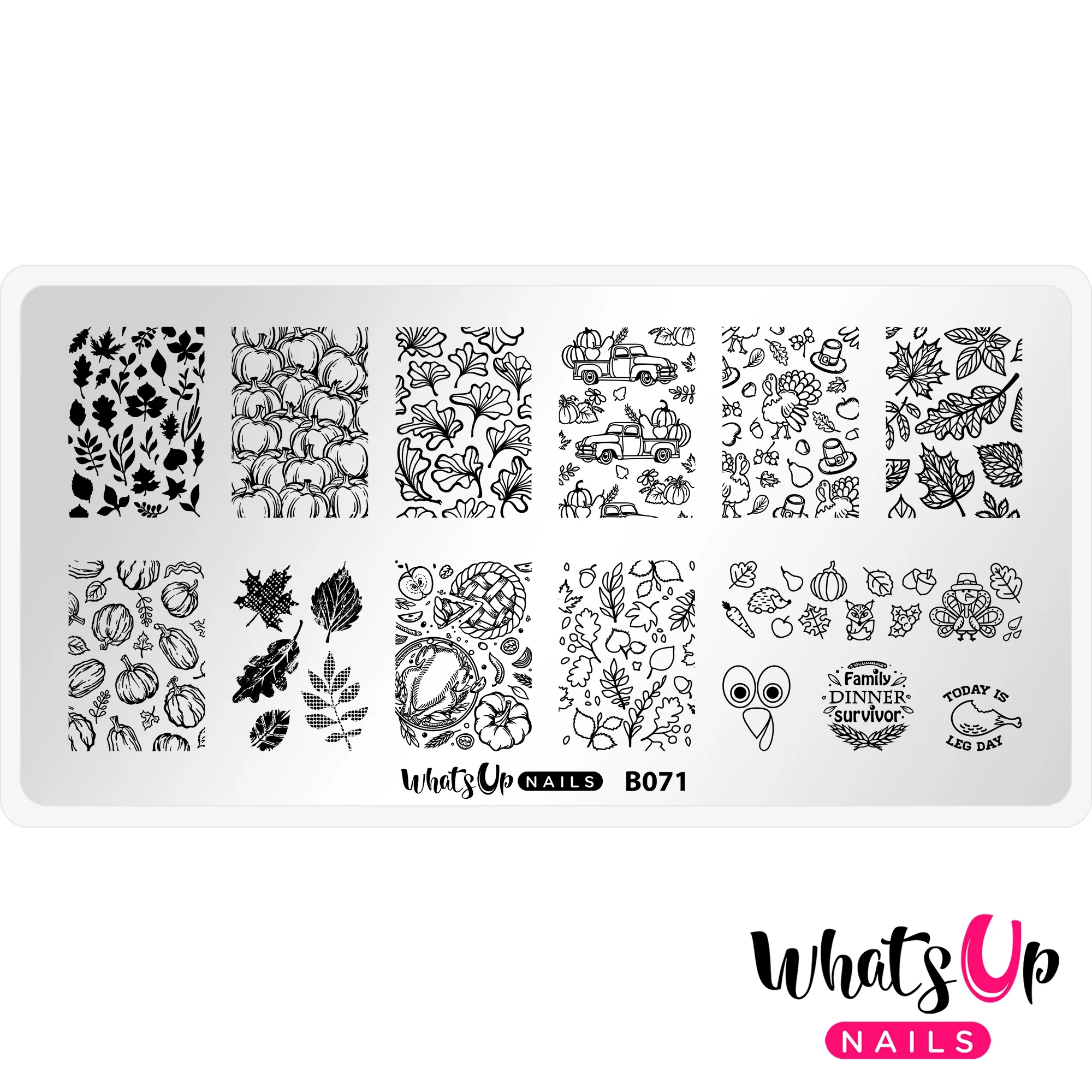 Whats Up Nails B071 The Whole Nine Gourds Metal Stamping Plate for Nail Art Design