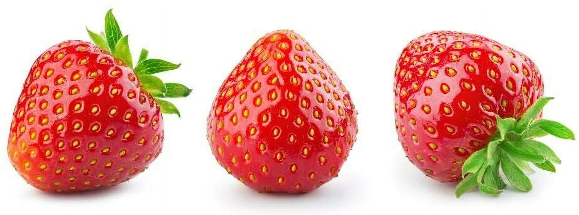 200 Everbearing Strawberry Seeds to Grow Red Strawberry Vines