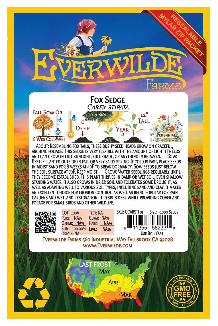 Everwilde Farms - 1000 Fox Sedge Native Grass Seeds - Gold Vault Jumbo Bulk Seed Packet