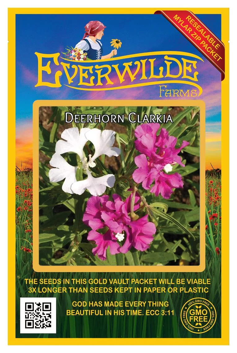 Everwilde Farms - 2000 Deerhorn Clarkia Native Wildflower Seeds - Gold Vault Jumbo Bulk Seed Packet