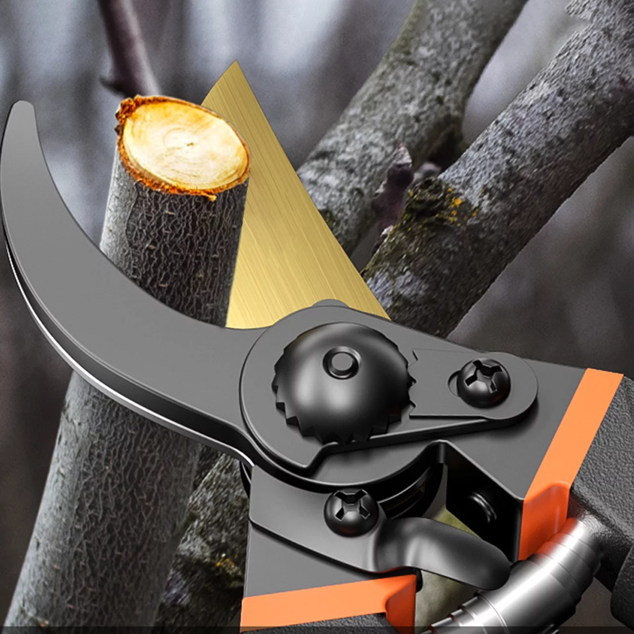 Premium Pruning Shears for Effortless Garden Maintenance and Flower Trimming