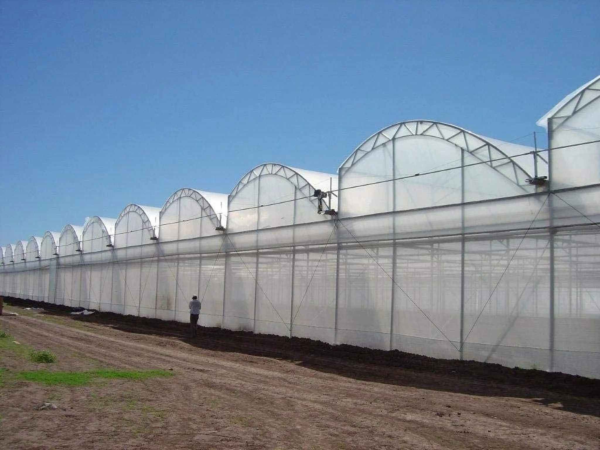 Greenhouse Plastic Clear 6 mil, 4 Year, Polyethylene Covering Film (25 ft. Wide x 25 ft. Long)