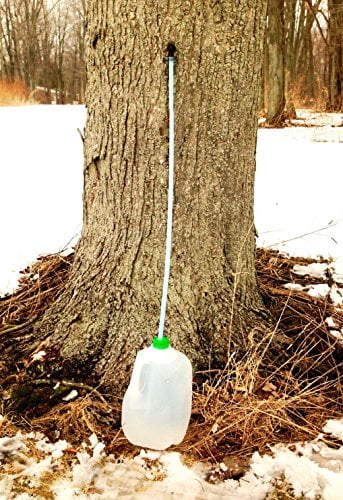 Maple Syrup Tree Tapping Tubing Line - 50 FEET - 5/16 inch Vacuum Line Hose - Can use with Drop Line Tubes Set-up - Semi Stiff Blue - 15 Year (50 Foot Length)