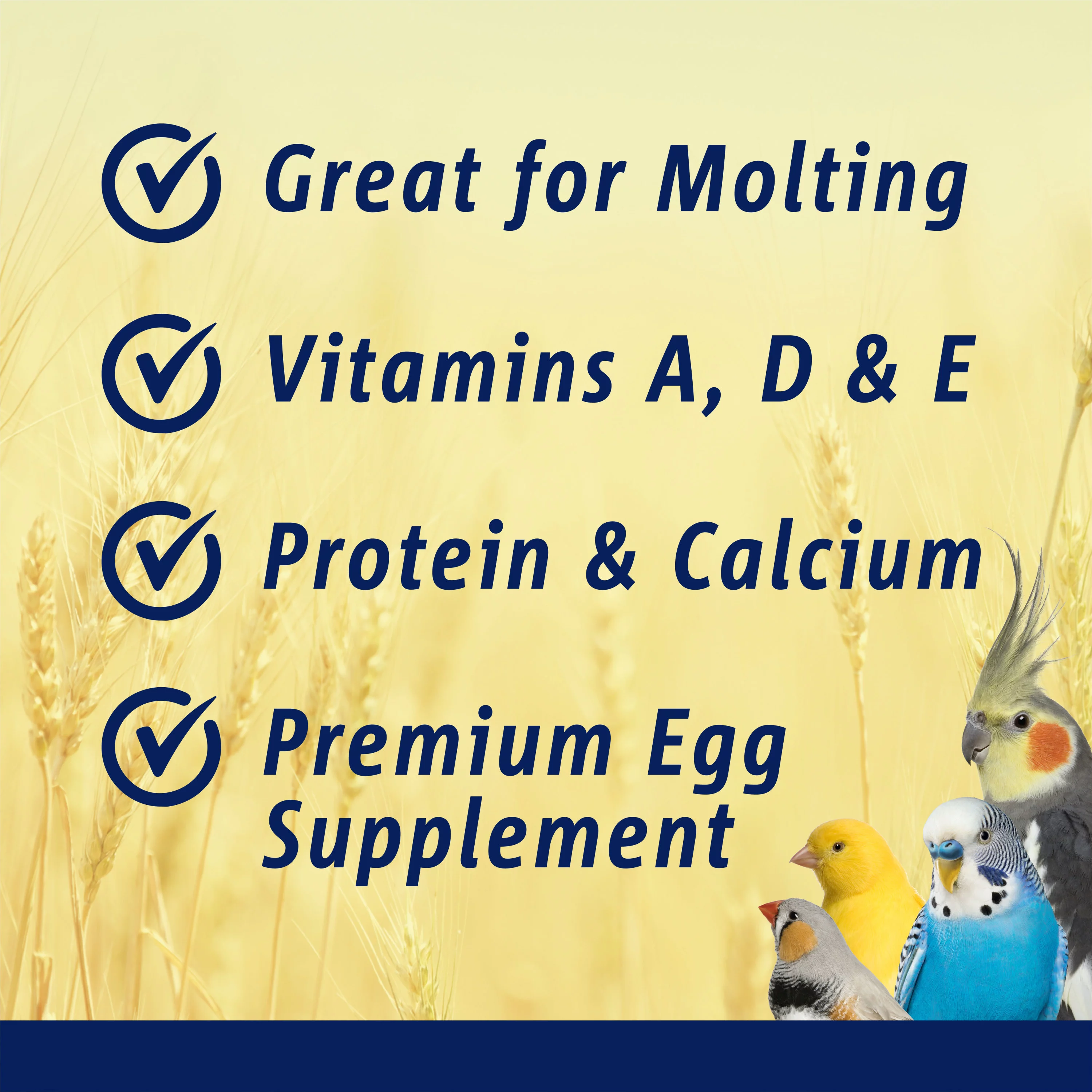 Vitakraft VitaSmart Egg Food for Birds - Daily Supplement for Parrots, Parakeets, Cockatiels, and Canaries - Bird Calcium Supplement