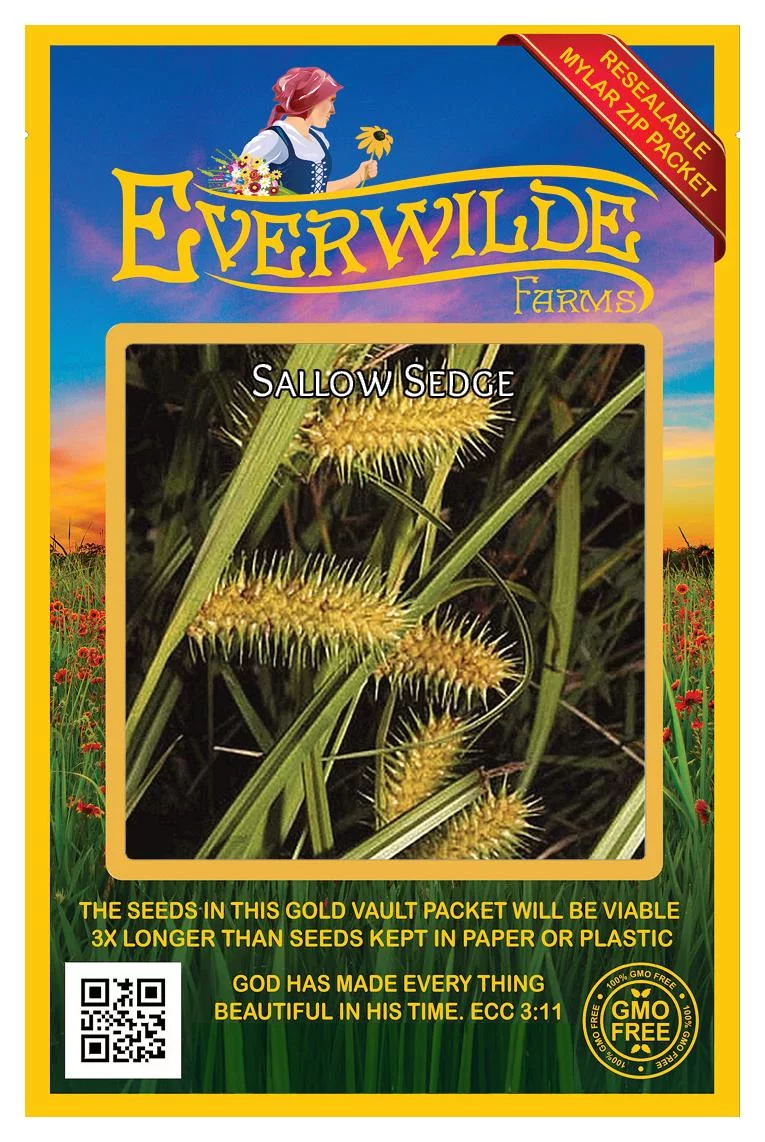 Everwilde Farms - 400 Sallow Sedge Native Grass Seeds - Gold Vault Jumbo Bulk Seed Packet