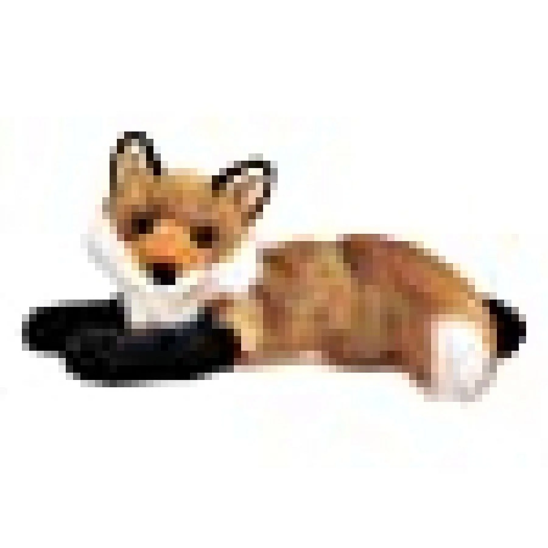 Douglas Cuddle Toys Roxy Fox Stuffed Toy