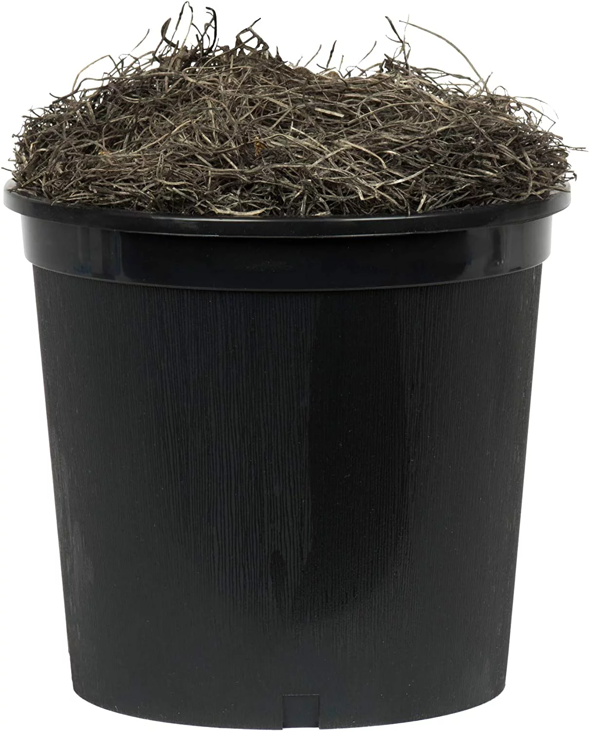 HYUN 7' Artificial Purple Wisteria Tree Set in Black Pot