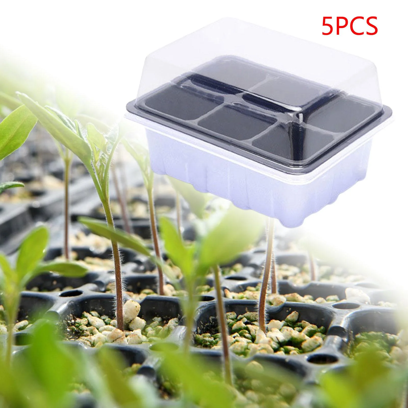 Gazechimp 5 Pack Plant Starting Tray, Seed Starting Tray with Transparent Cover, 19 x 14.5 6 Grids