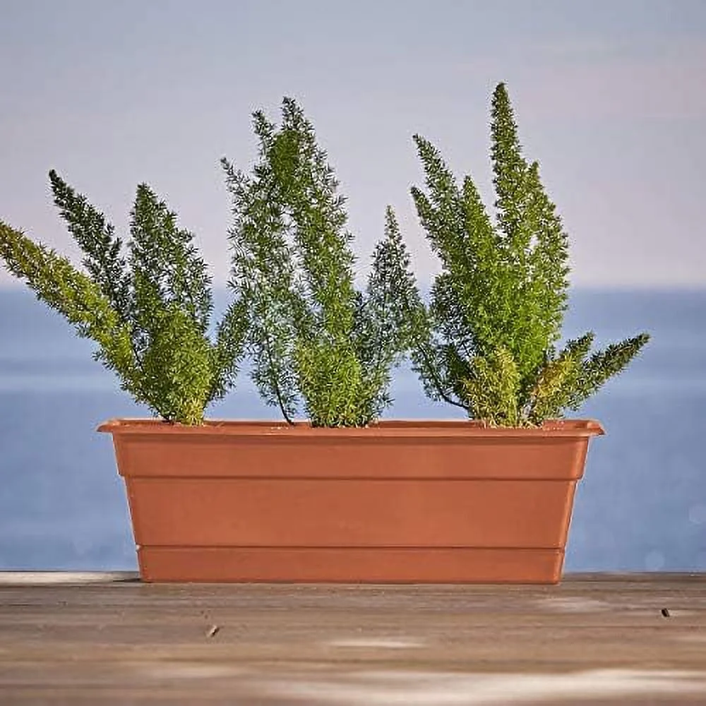 Series DCBT18-00 Dura Plant Window Box, 18-Inch, Black, 36