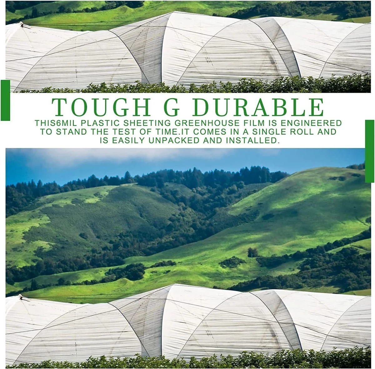 WSYW 6 Mil Clear Greenhouse Poly Film Plastic Sheeting 13-30ft Width x Various Length Control