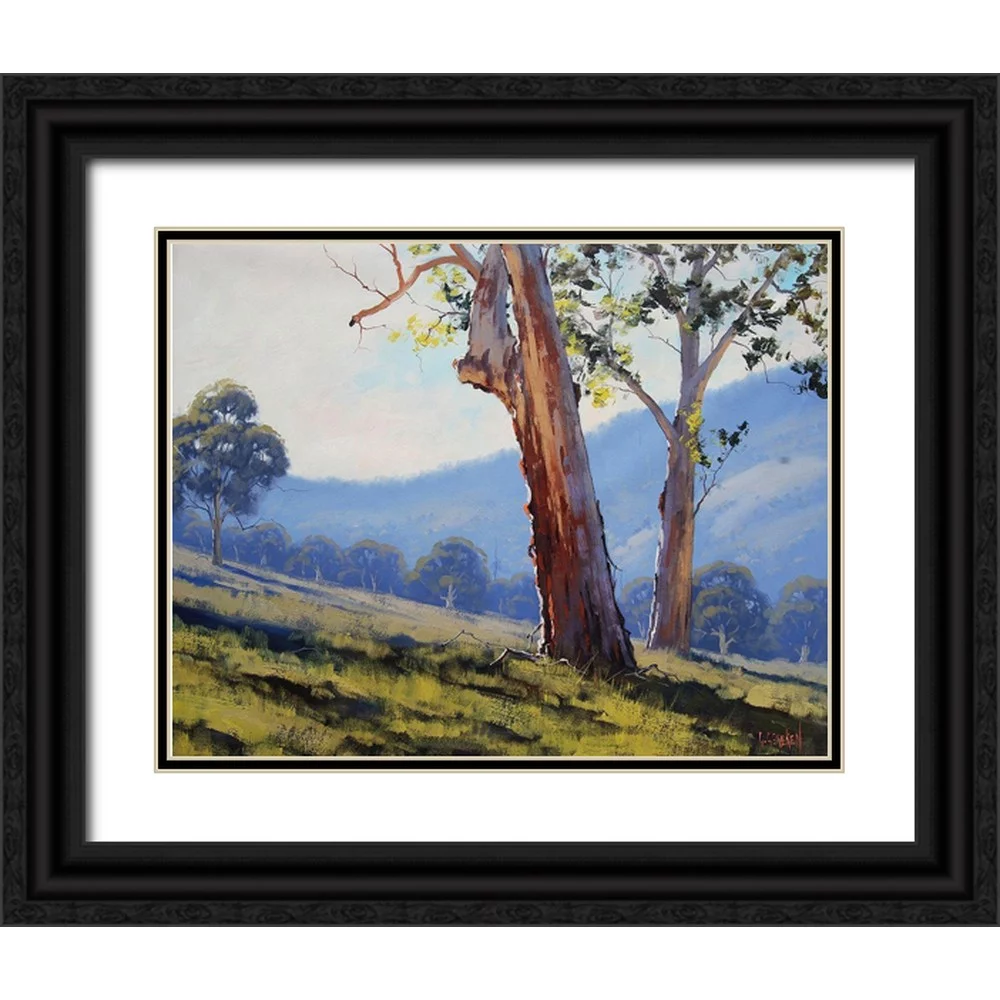Gercken, Graham 18x15 Black Ornate Wood Framed with Double Matting Museum Art Print Titled - Tumut Gum Trees