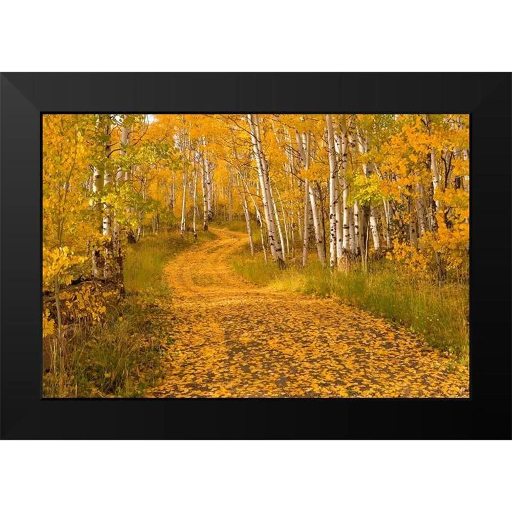 Leacock, J.C. 14x11 Black Modern Framed Museum Art Print Titled - Aspen Tree Trunks