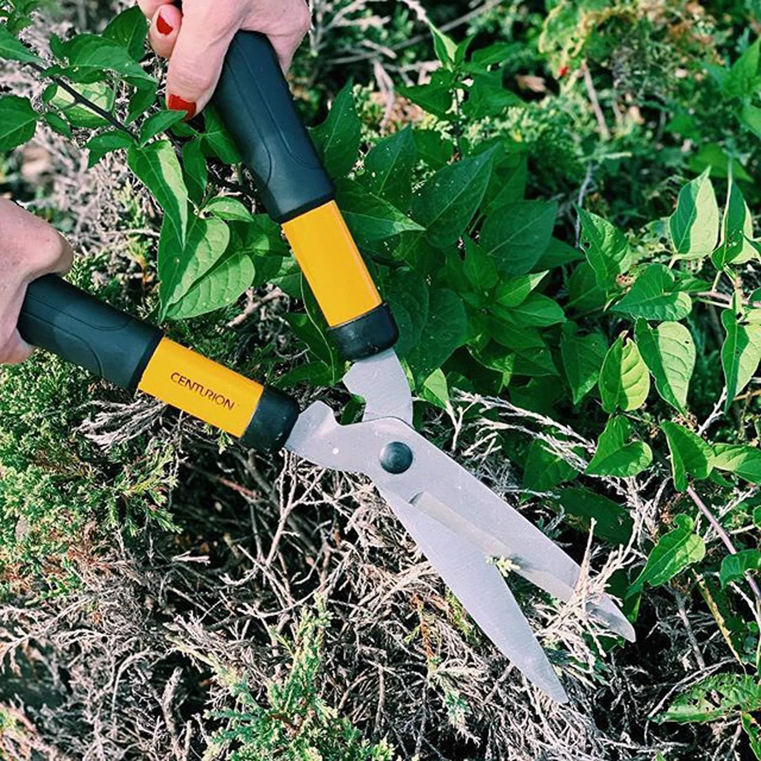 592 2-Pc Ladies Mini Lightweight Cutting Set With 16½- Inch Bypass Lopper & 6 Inches Blade Hedge Shear