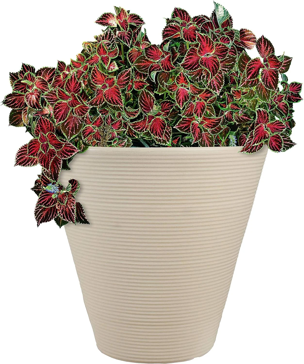 Walter 15.5-Inch Indoor/Outdoor Double-Walled Polyresin Planter - Fade-Resistant Antique White Finish