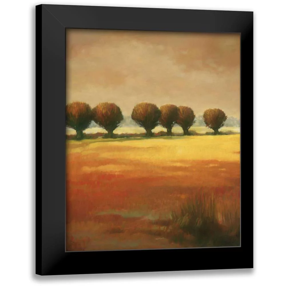 Reynolds, Graham 12x14 Black Modern Framed Museum Art Print Titled - Pollard Willow I